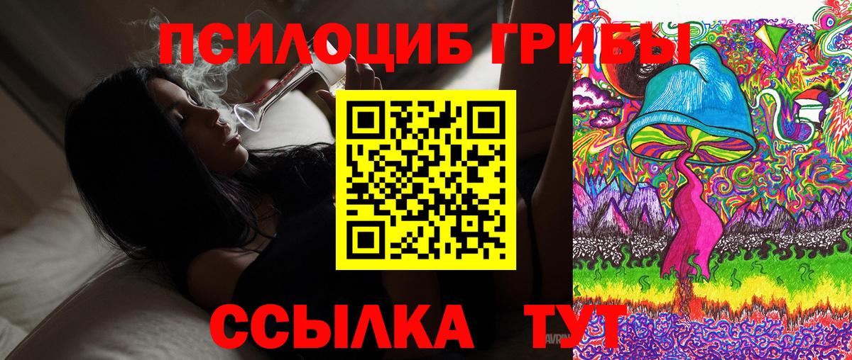 Галлюциногенные грибы Cubensis  Вход с VPN  Нижний Тагил 